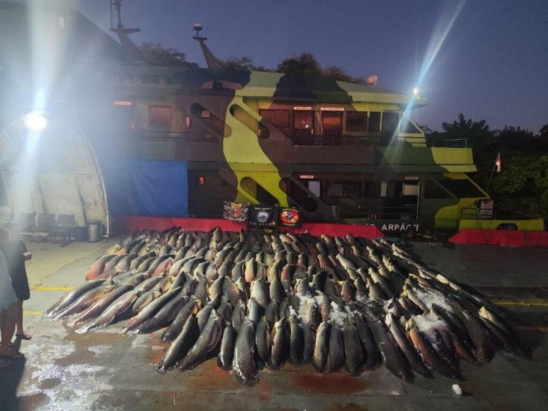 pescado ilegal apreendido no amazonas