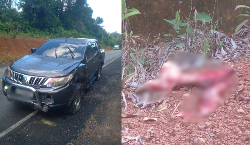 motocicleta destruída após acidente na rodovia am-070