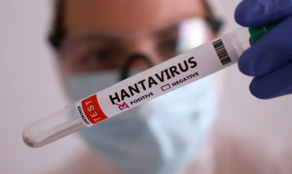 Imagem ilustrativa sobre surtos de hantavírus em navios