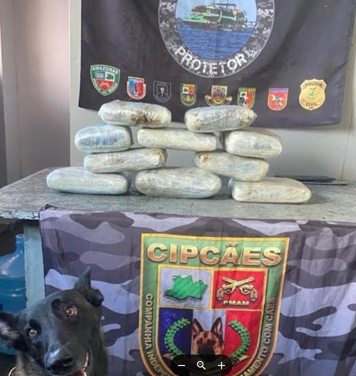 apreensão de maconha skunk escondida em caixa de isopor