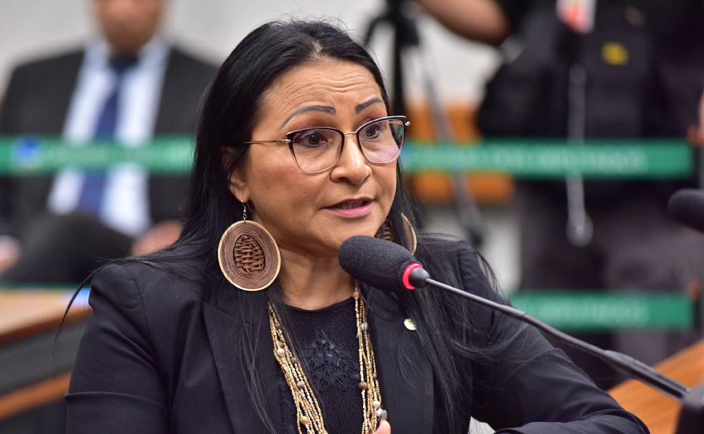 Foto de Zeca Ribeiro na Câmara dos Deputados sobre a cassação de Silvia Waiãpi