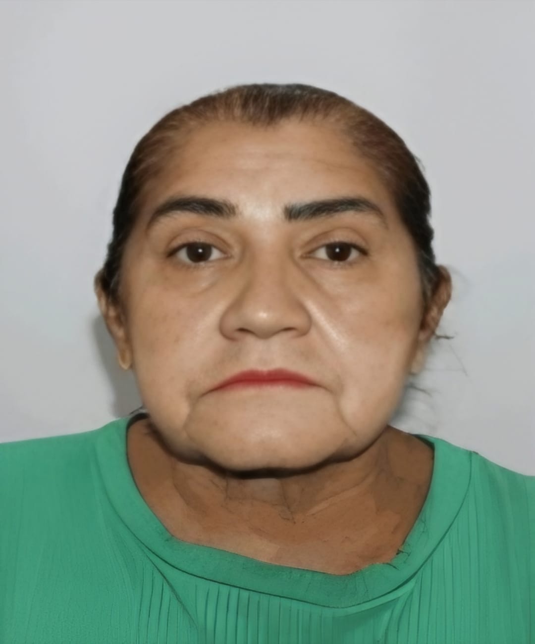 imagem de idosa desaparecida maria domingas cantisani pinto