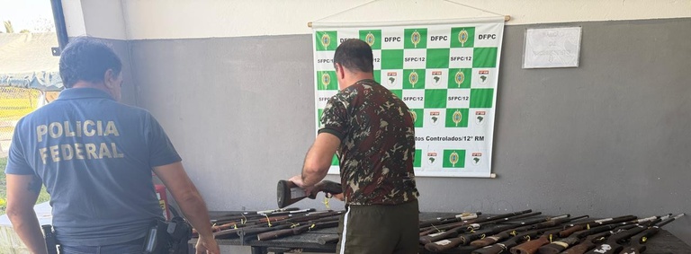 destruição de armas de fogo em manaus