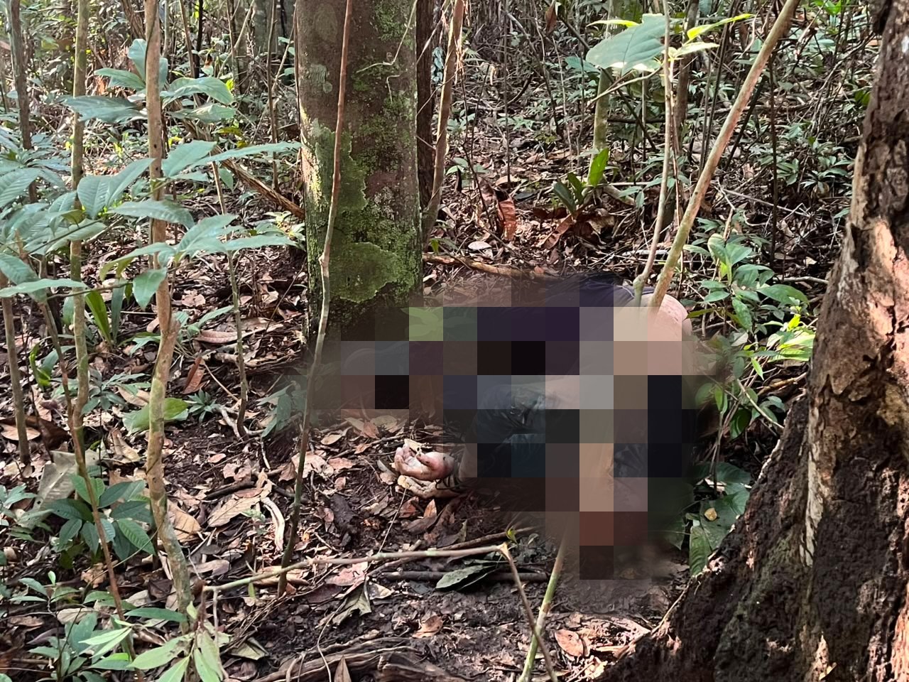Foto de Caio Guarlotte mostrando a área onde os corpos foram encontrados em Manaus