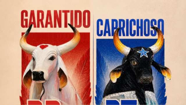 Veja quantos títulos tem cada boi no Festival de Parintins