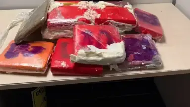 Polícia Federal apreende mais de 12 kg de maconha em mala no aeroporto de Manaus