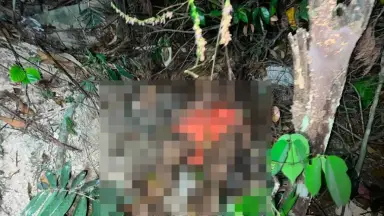 Corpo é encontrado em área de mata após moradores ouvirem tiros no Novo Israel, em Manaus