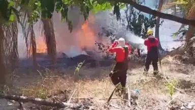 Fogo colocado em folhas se espalha para mata e mobiliza bombeiros em Balbina, no Amazonas