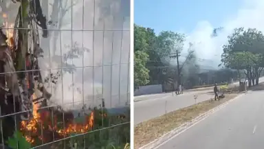 Incêndio atinge área de vegetação próximo à Bola da Suframa em Manaus