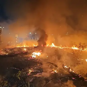 Incêndio de grandes proporções atinge área de mata próxima à Avenida das Torres em Manaus