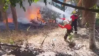 Incêndio em área de vegetação mobiliza bombeiros próximo à Reserva Adolpho Ducke, em Manaus