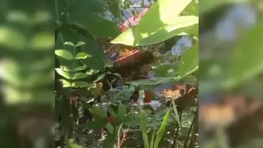 Jovem morre afogado no Rio Negro após desaparecer durante banho na zona Leste de Manaus