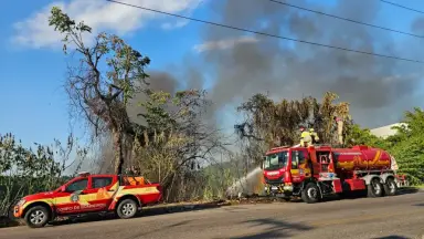 Queima de lixo pode ter provocado grande incêndio em lixeira viciada no Parque Mauá, em Manaus